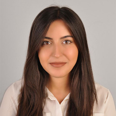 Domestic Trade Assistant